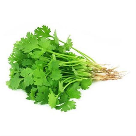 كزبرة(قزبور) -Coriandre