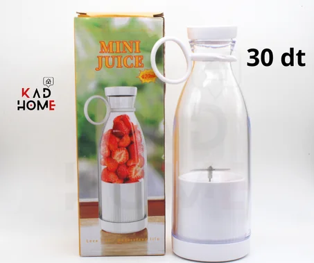 Mini Mixeur de Fruits Portable