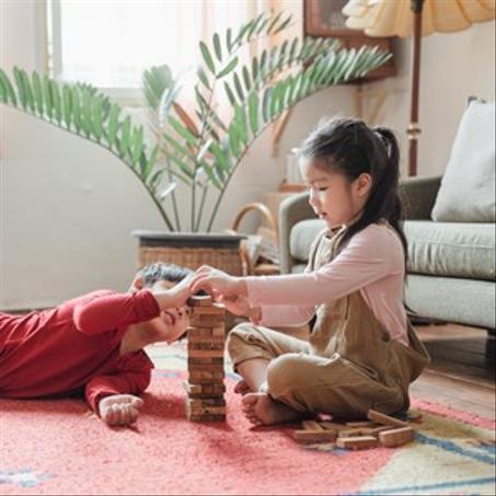 JEUX DE CONSTRUCTION EN BOIS