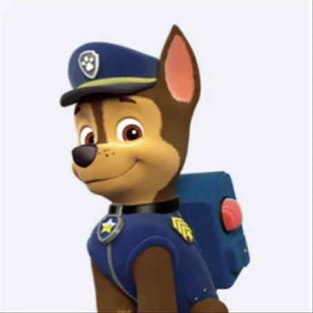 JOUET PAW PATROL