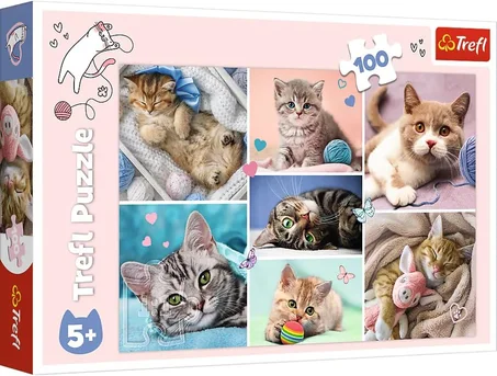 PUZZLE TREFL: DANS LE MONDE DES CHATS 100 PIÈCES