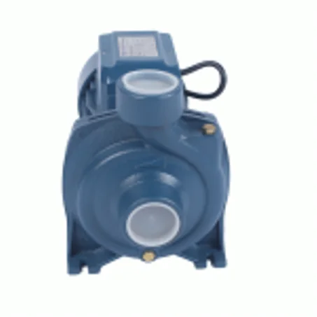 Pack pompe de surface deversso 0.75 CV avec presscontrol