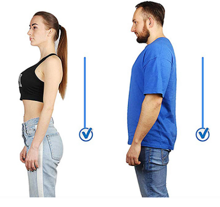 مصحح وضعية الظهر
