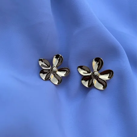 Boucles d'oreilles Clous en Acier Inoxydable