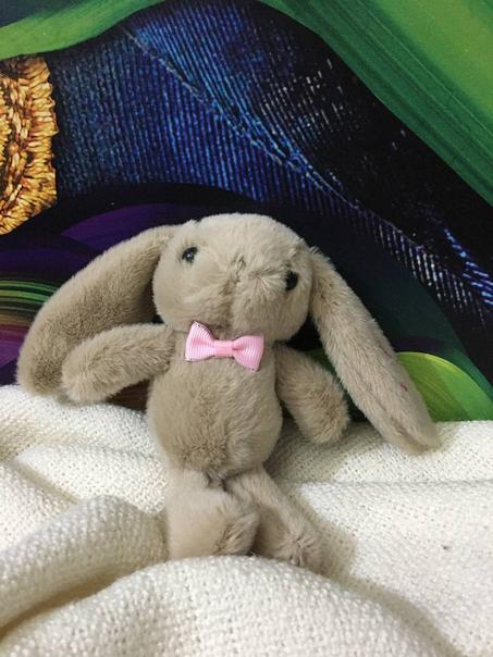 ميدالية الارنب