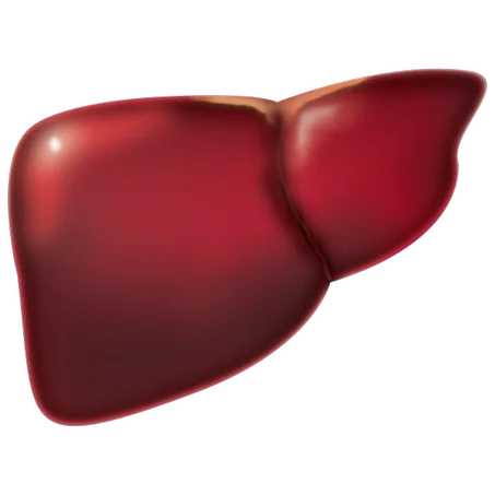 الاستشارة الغذائية لمرضى الكبد الدهني عن طريق الهاتف