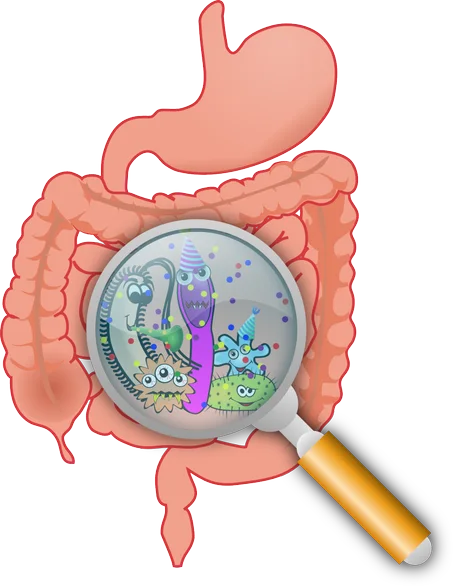 الاستشارة الغذائية لمرضى الالتهابات المعوية المزمنة عن طريق الهاتف