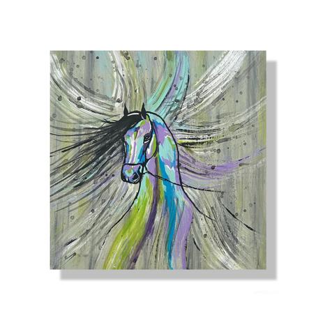 Equinox Reverie 20/20 CM