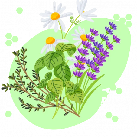 الزعفران الحر قريبا...