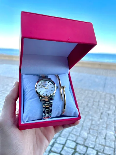 Montre est Braslie Inoxydable