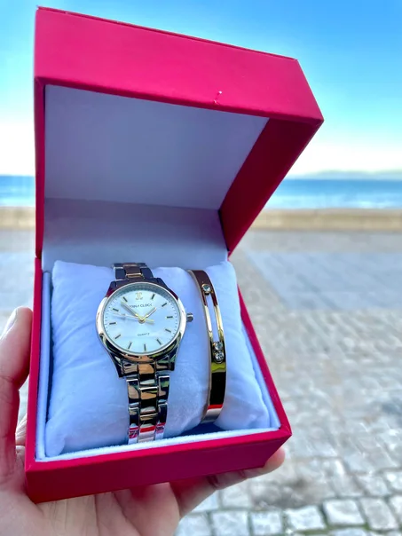 Montre avec Boîte est Braslie Inoxydable