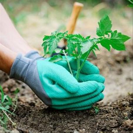 Jardinage - بستنة