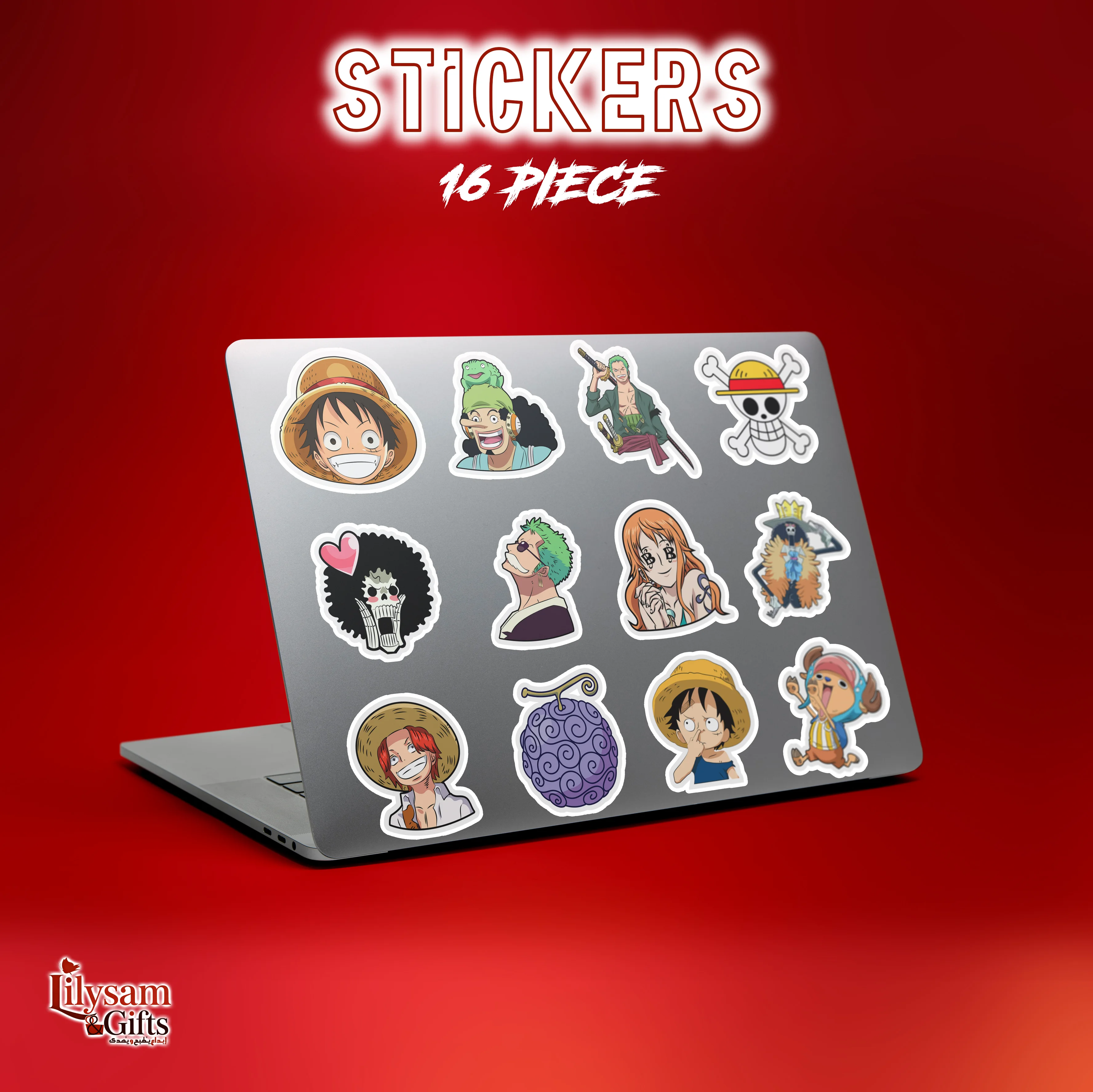 Box One Piece Édition Premium