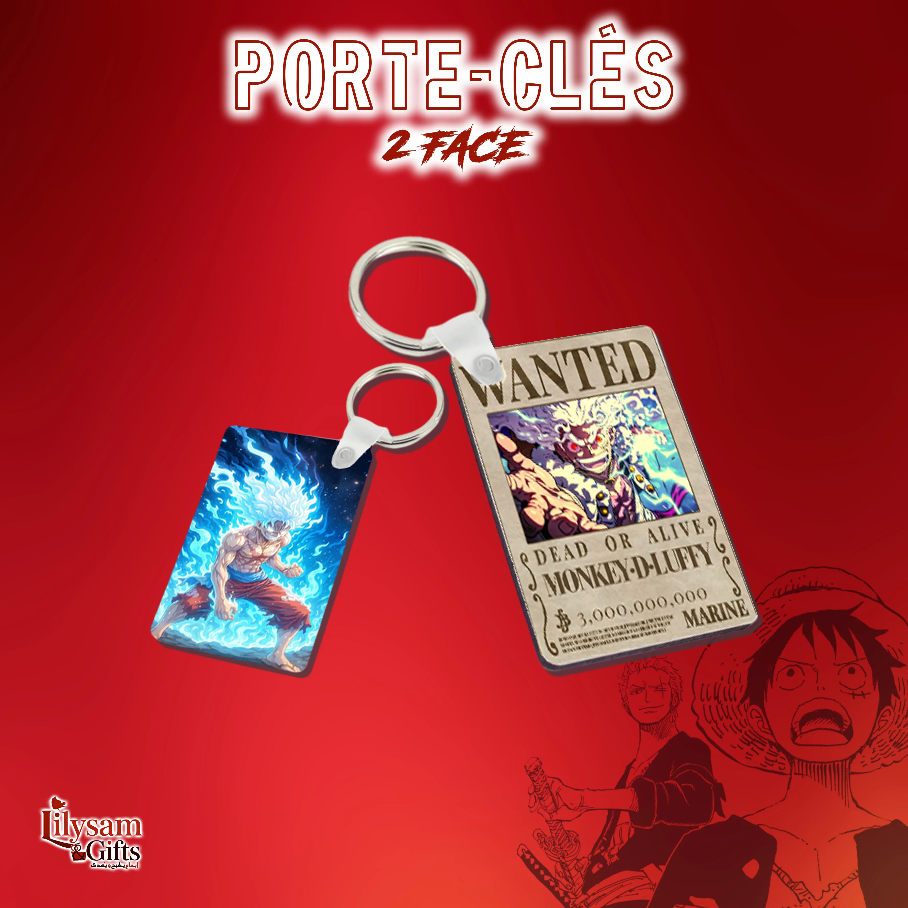 Box One Piece Édition Premium