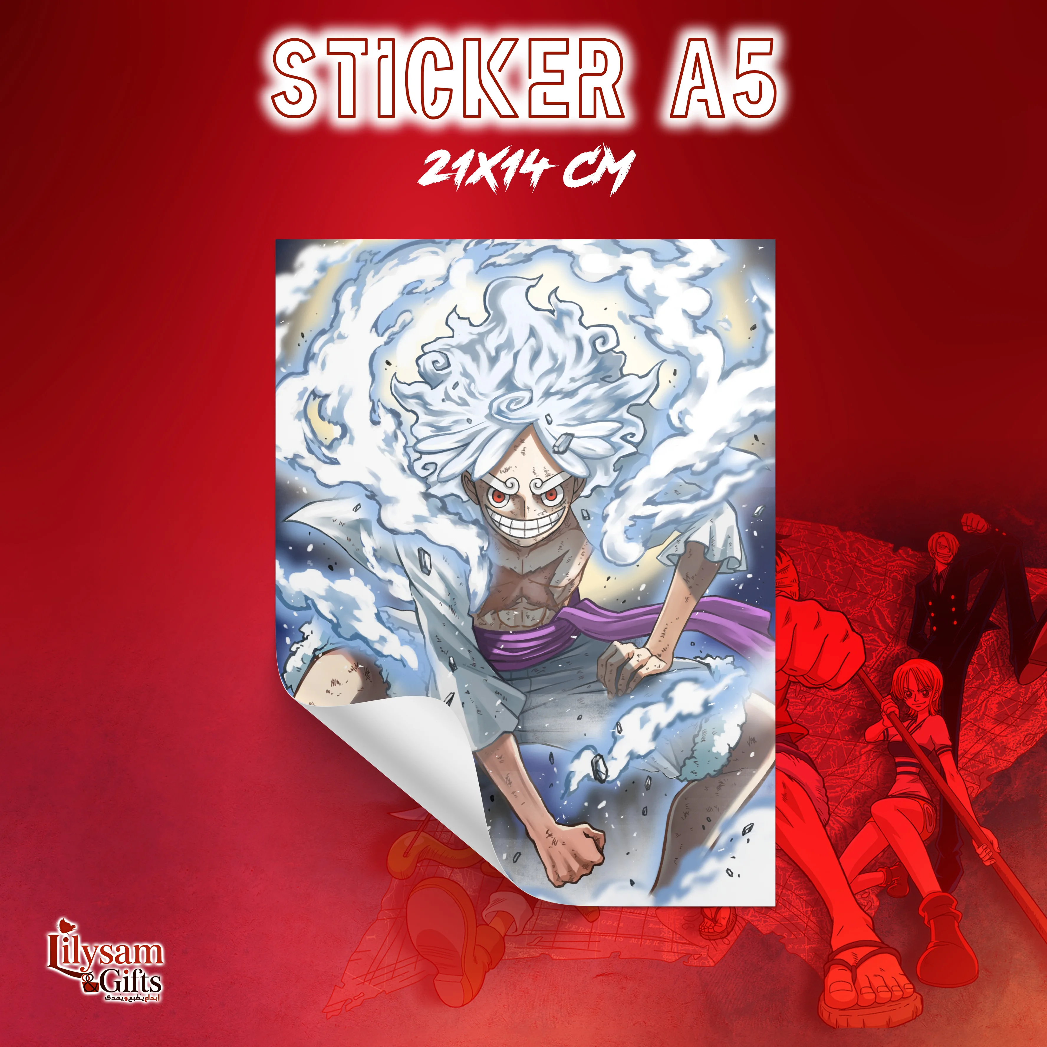 Box One Piece Édition Premium