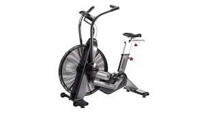 Assault Bike Elite