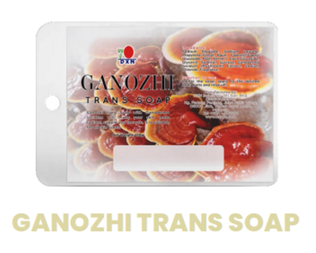 صابونة ترانس جانوزي
