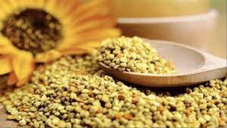 منتجات الخلية