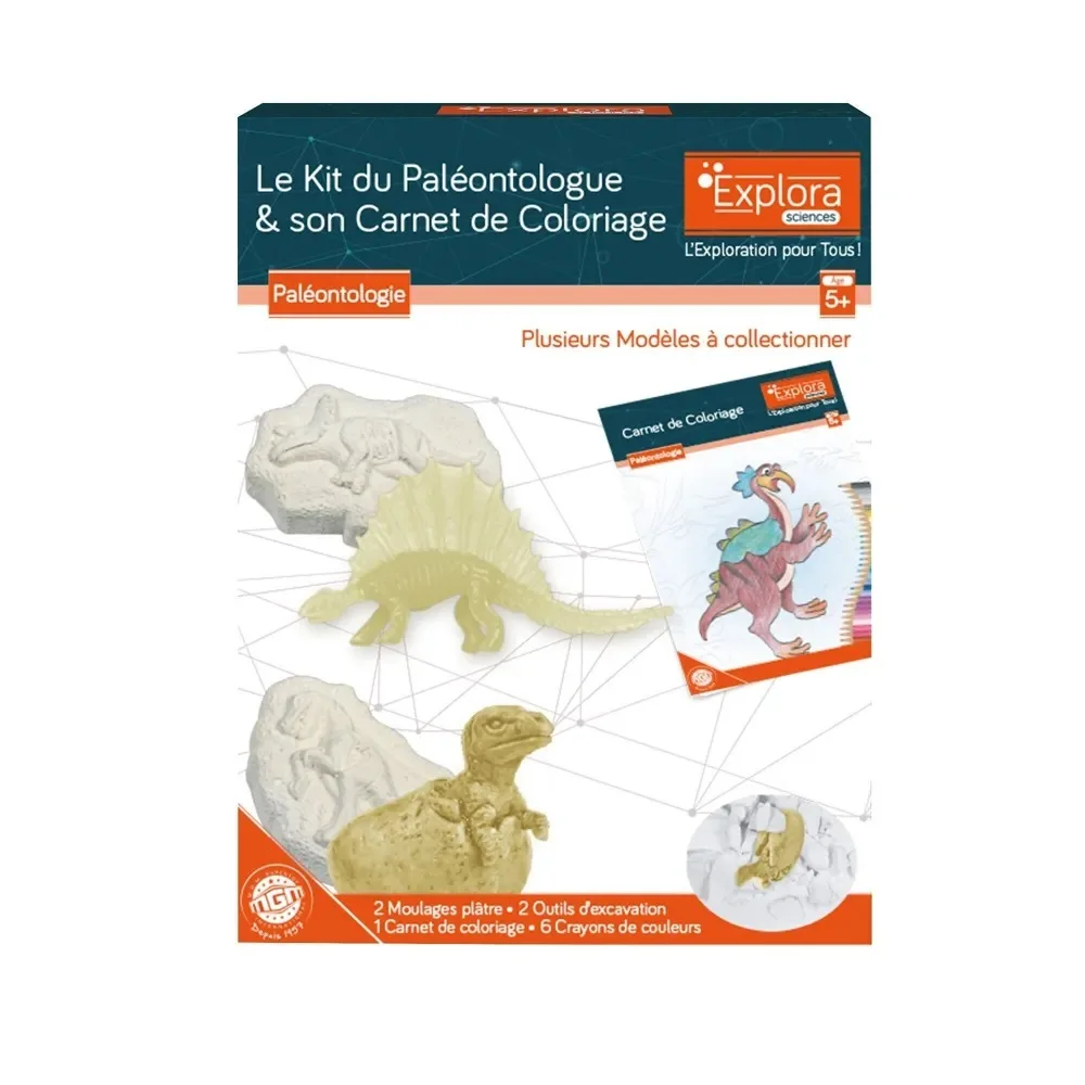 Kit De Paléontologue - Dinosaures Et Carnet de Coloriage