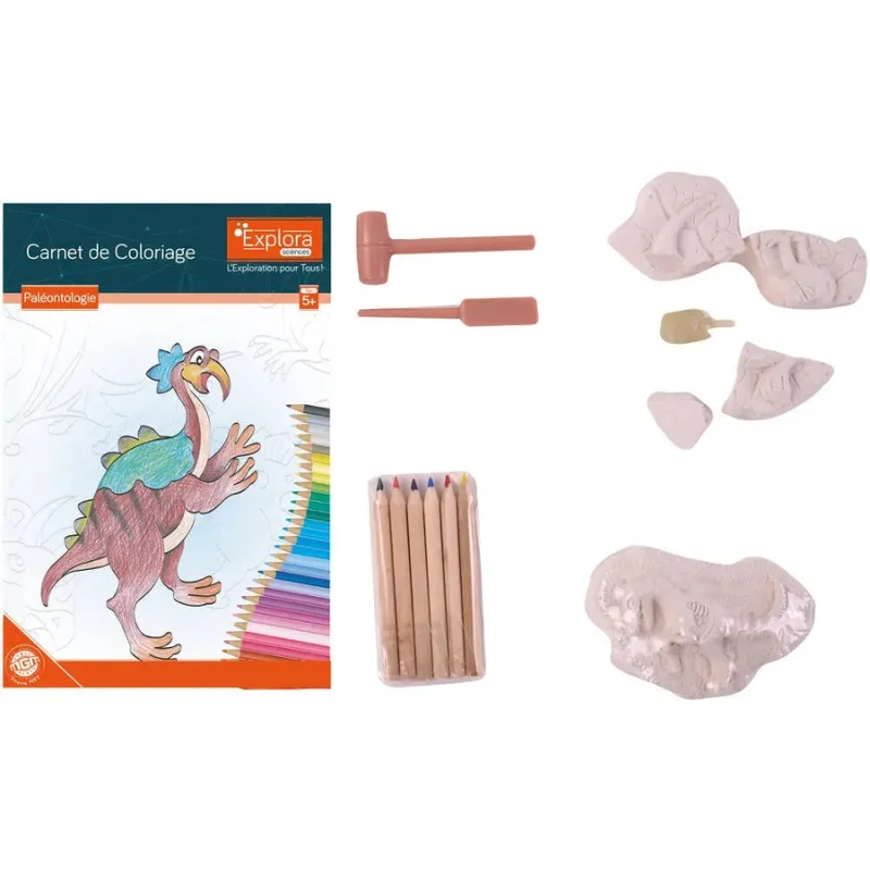 Kit De Paléontologue - Dinosaures Et Carnet de Coloriage