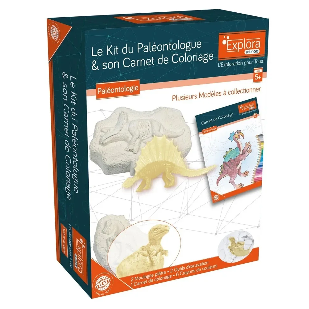 Kit De Paléontologue - Dinosaures Et Carnet de Coloriage