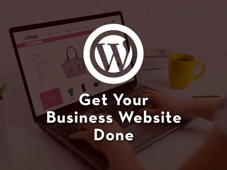 I will design and develop clean and modern business website
