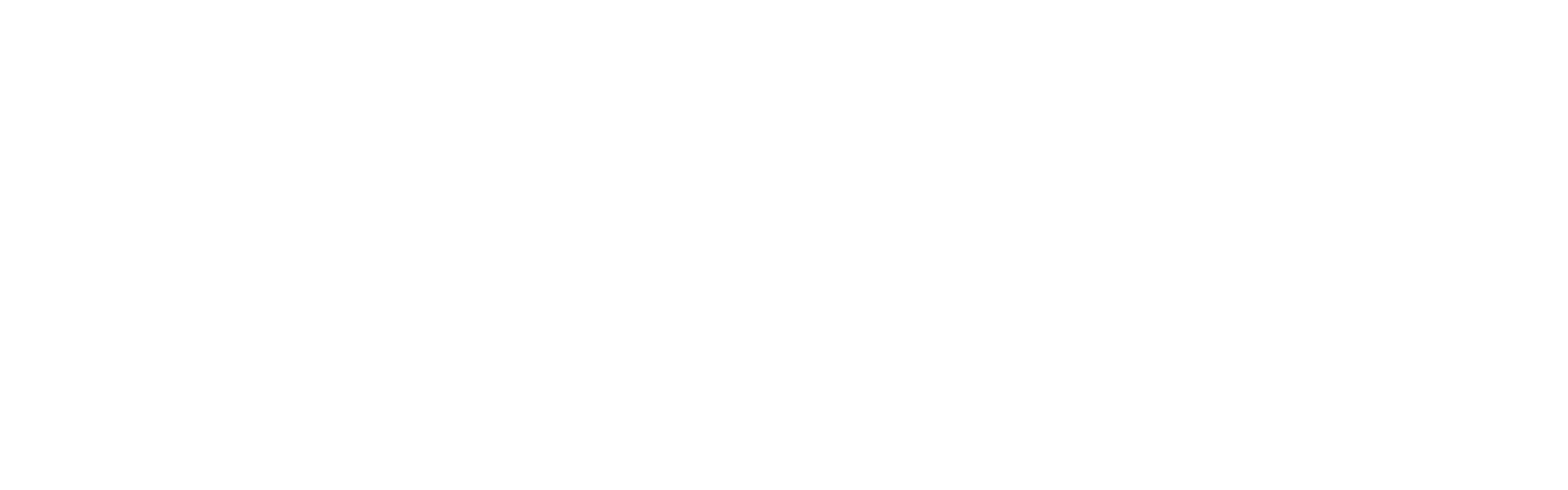 zidstore