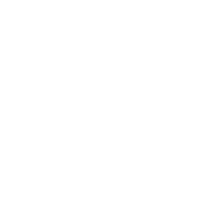zidstore.ma favicon