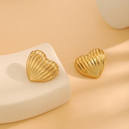 Boucles d'oreille acier tendance