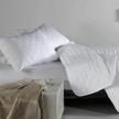 stores/3b2b29e513878a75542c6b91e5de7d0d/products/ZH6utYL95AKO6YFk4CqMroS0728HoAqRPm9YNpQe.jpeg