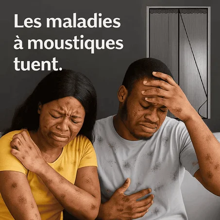 Porte Moustiquaire Magnétique ( 210 x 100 cm )