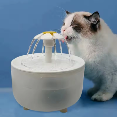 Cat Water Fountain