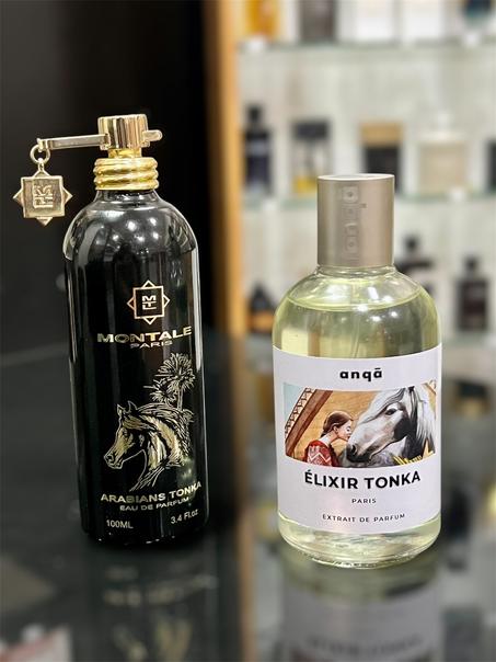Anqa - Elixer Tonka 100ml