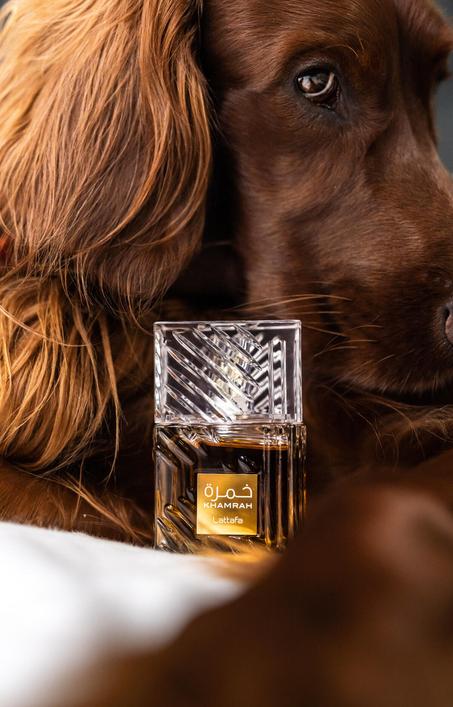 Khamrah Lattafa Perfumes for women and men