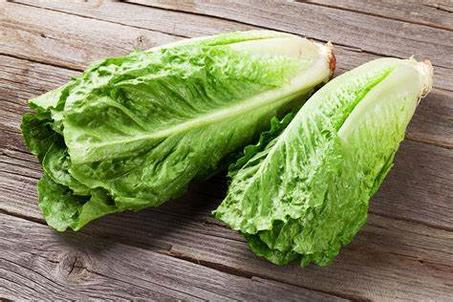 Salade Romaine