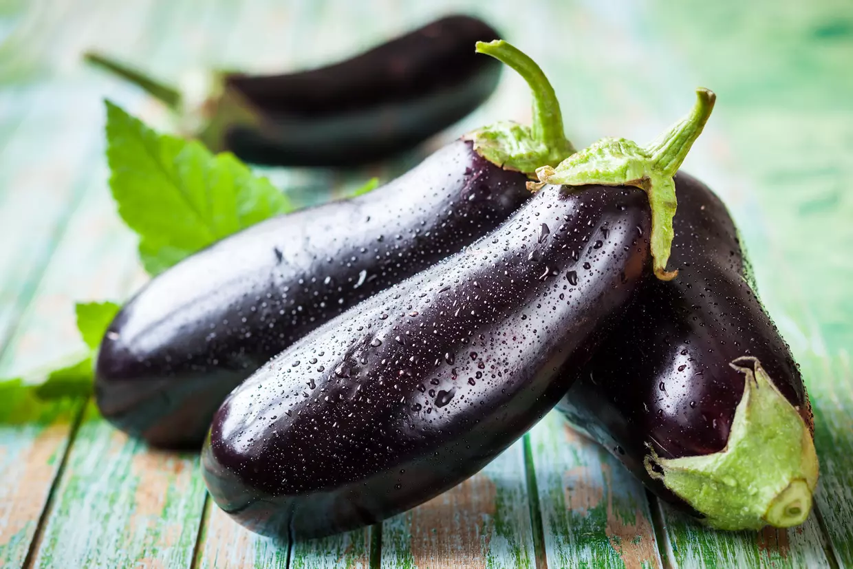 AUBERGINE