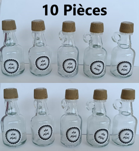 Lot de 10 Bouteilles en Verre avec couvercle en plastique et poignée en boucle