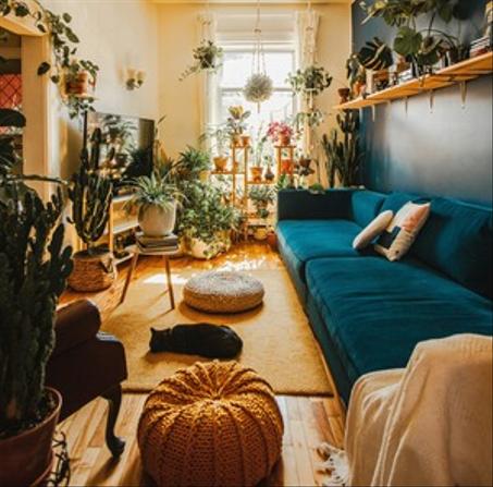 مستلزمات منزلية