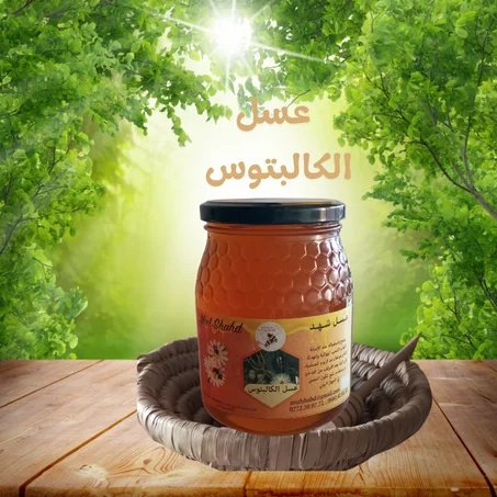 عسل الكاليتوس  الأوكالبتوس  MIEL EUCALYPTUS