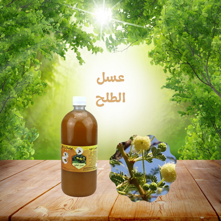عسل الطلح