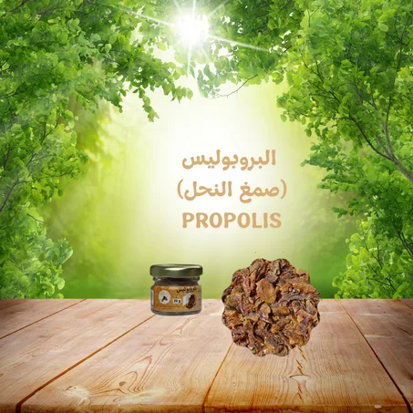 البروبوليس (صمغ النحل)  PROPOLIS