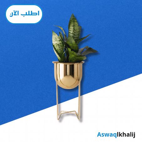 ديكور المنزل