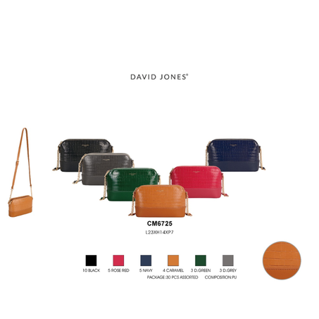 حقائب نسائية من DAVID JONES