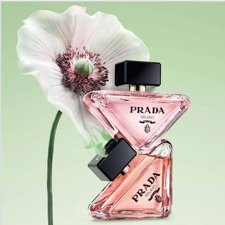 Prada paradox - Eau de parfum