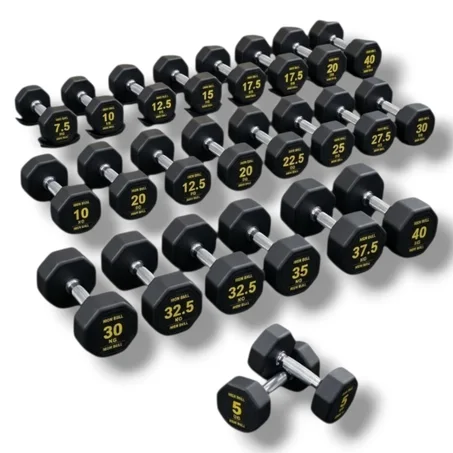 1 HALTÈRE MUSCULATION