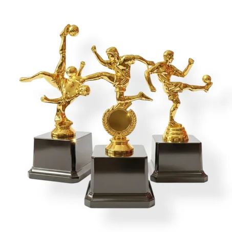 TROPHÉE MEILLEUR JOUEUR/MEILLEUR BUTEUR PETITE FORMAT