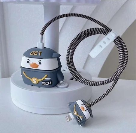 Money Charger Protector
