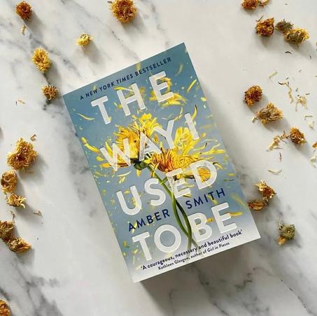 The Way I Used to Be by Amber Smith