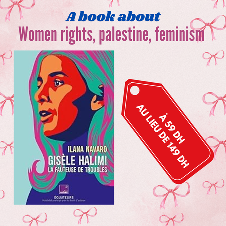 Gisèle Halimi, la Fauteuse de Troubles – Ilana Navaro