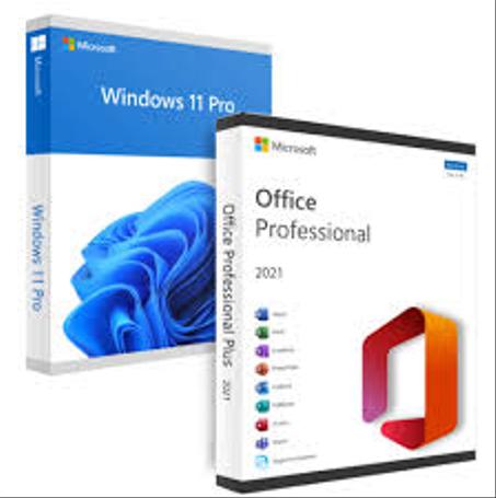 Windows 11 Pro + Microsoft Office 2021 Professional